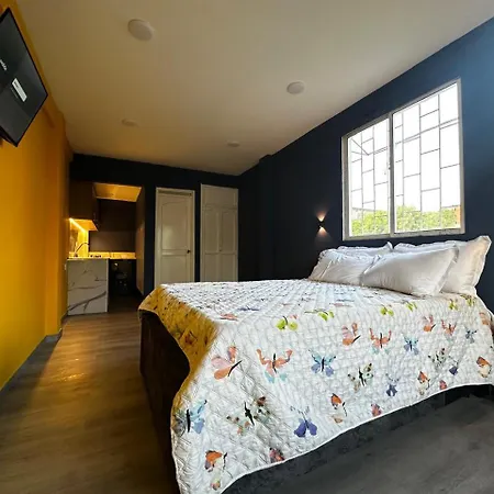 Apartamento Comfort Planta Con Cocina Barrio Bosque